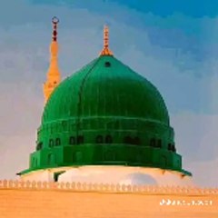 abdullahwaleed5660