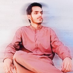 Ahsan Bajwa