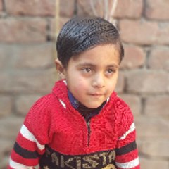 Sajjad Ali