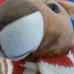 Malik the hedgehog