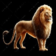 Travelling with tourism