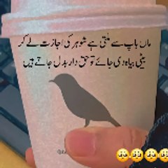 robia nawaz