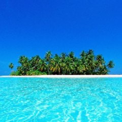 TravelViajes