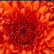 pk/k/c/drama channel