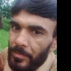 naveed03186