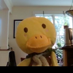 David Reisig-jacknowitz