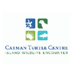 Cayman Turtle Centre