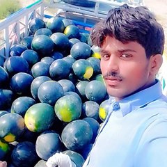 Nazeer Nazeer