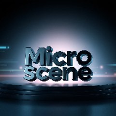Micro Scene