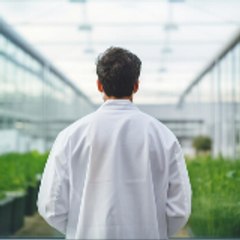 Anthony "Tony" Mattei