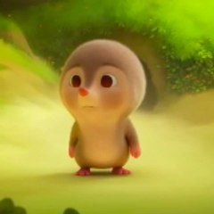 Animation Video 📷