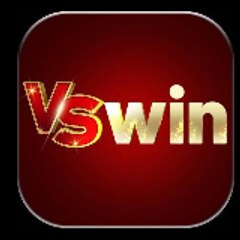 VSWIN