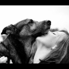 shelter dogs-111