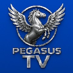 Pegasus Store