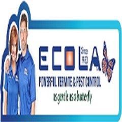 Ecola Termite - Los Angeles