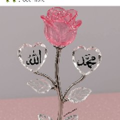 faisalkhan4u86