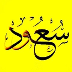 Saud_Vision3