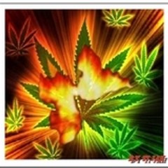 xxxXXXXXXXXXXXXXXX