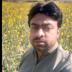 Islamic videos