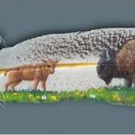 Mario Mario Treviño