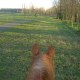 Michoulie