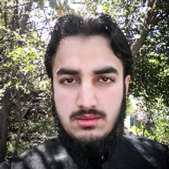 Shahbazhussain8107