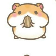 Cookie