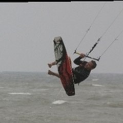 brasilkite