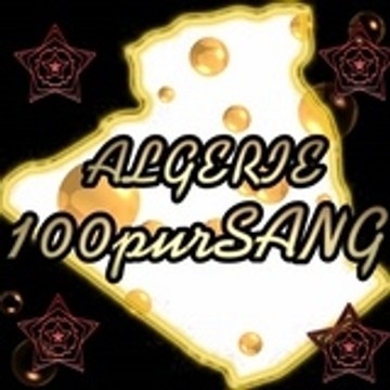 ALGERIE_100purSang