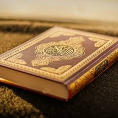 Quran urdu translation 360