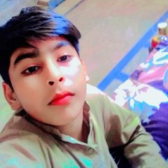 riazhussain2037139