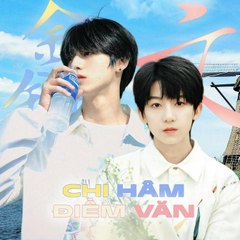 CHI HÂM ĐIỀM VĂN