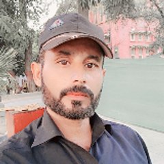 lovely official