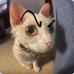卡啦咪爱搞笑