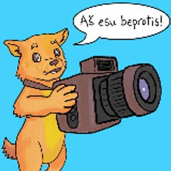 Pereba Video Clube