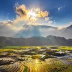 GlobalCravings