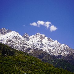 Mustafa Fatemi