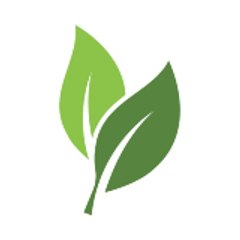 Mintpedia Online