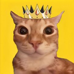 ResQPet