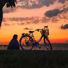 The Color of Forgotten Things