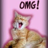 OMG FUN