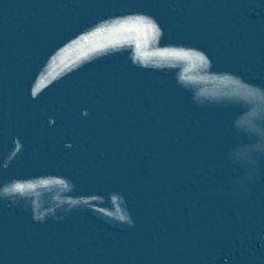 らしゅ∅
