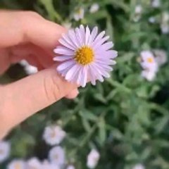 مسلسلاتنا