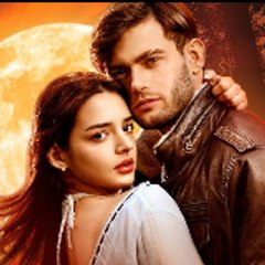 Silver Frame Stories