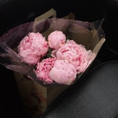 Peonie Files