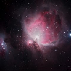 Orion