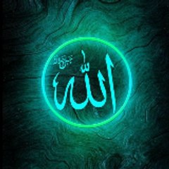 islamic videos by zia