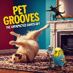 Pet Grooves