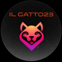 il gatto