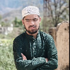 shadabshadab26178